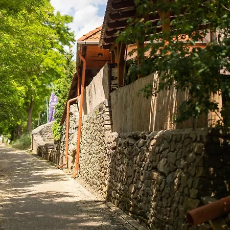 内霍卡酒店 3* Prušánky