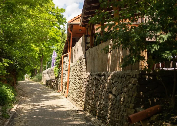 内霍卡酒店 3* Prušánky